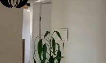 Imagem 3: Jadim Souto apto com 2 dorms,2wcs,sacada, sol da manhã