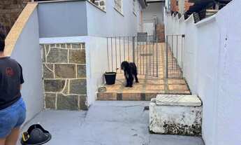 Imagem 4: Alugo ou vendo casa na Rua primeira Santa Cruz