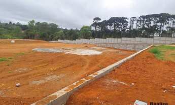 Imagem: Terreno Industrial à Venda 10.000 m² Caucaia