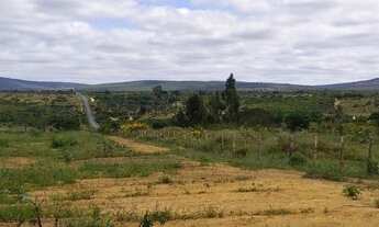 Imagem 3: Fazenda espetacular na Chapada Diamantina( 372 hectares