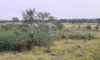 Imagem 4: Vendo terreno de 20mil m2 ou 40mil m2 em Araçoiaba da serra SP