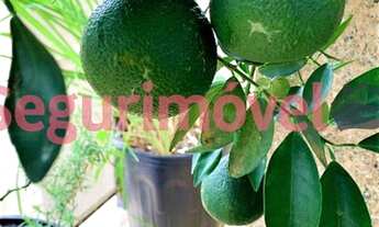 Imagem 6: Leblon 1q apart hotel Rainha Guilhermina 66m2 suíte vaga infraestrutura total R$1.590.000