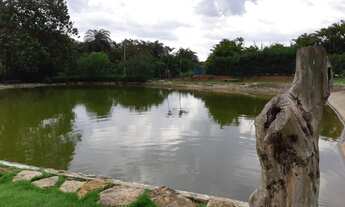 Imagem 6: Vendo Lotes de 1.000m² Financiados em Excelente Condomínio