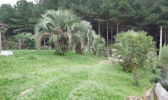 Imagem 4: CASA EM ALVENARIA - INDUSTRIAL NORTE - RIO NEGRINHO