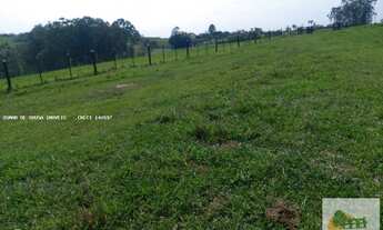 Imagem 5: Fazenda de 42 Alqueires em Itapetininga