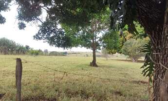 Imagem 3: Fazenda na Cidade de Araguari