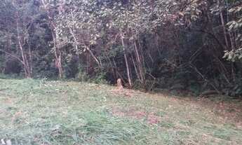 Imagem 7: Lote/Terreno para venda com 96800 metros quadrados