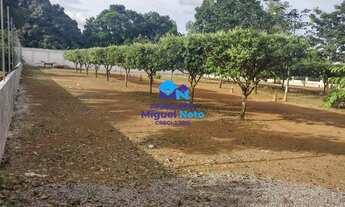 Imagem 4: Chácara de 50x55 dentro da Cidade