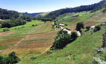 Imagem 2: Propriedade de 10 hectares com casa 3 quartos à venda no bairro Centro - Domingos Martins