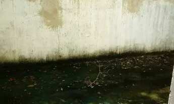 Imagem 5: Alugo Ótima casa cidade ocidental (rua do Detran