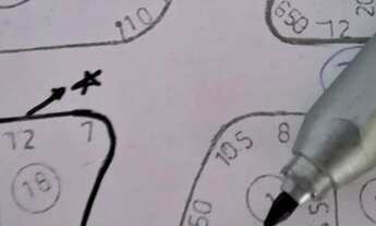 Imagem 2: Lote para Venda em Lima Duarte, Vila Palmares