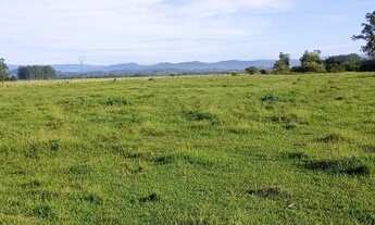 Imagem 4: Fazenda 51 Hectares, santo Antônio da patrulha
