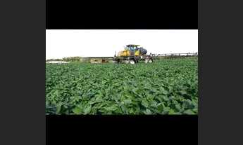 Imagem: Faz 285 Alq plantando 900 hec a 09 anos