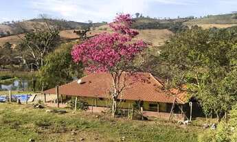 Imagem 4: Sitio de 160.000 metros ouro fino, espaço com piscina, vaca de leite, gado de corte