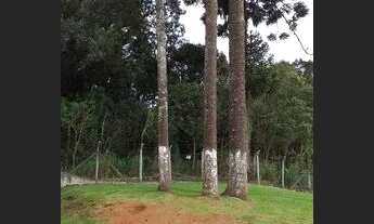 Imagem 3: Vila Mariana no Tatuquara - 2 Quartos R$850,00 Condomínio Incluso