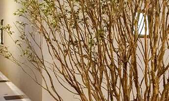 Imagem 4: Casa Térrea completa em Armários, GANHE GELADEIRA e FOGÃO COOKTOP Moinho dos Ventos - Goiâ