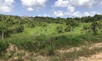 Imagem 3: Área excepcional com 330.000 m 2 em Alagoinhas - Bairro Mangalô