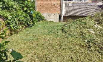 Imagem 7: Terreno jardim palmares Colombo 12x40 Canguiri rua principal