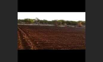 Imagem 3: Sítio luz da serra (6 hectares) vende-se ou troca. ( 20 minutos do shopping