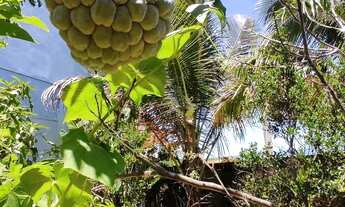 Imagem 7: Casa de praia , mirante da praia , praia grande , nova Almeida, fundão ES