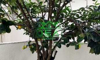 Imagem 2: São Paulo - Casa Padrão - ALTO DA LAPA