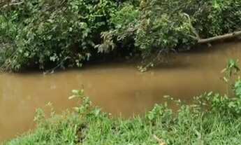 Imagem: 7,88 alq Brazabrantes