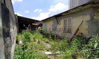 Imagem 2: VDPICDF 158 Lote 600021006-4