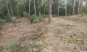 Imagem 2: Terreno com poço artesiano 1600 mts² 200mts do asfalto