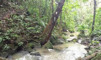 Imagem 5: Terreno próximo a cachoeira do monjolo 4 mil MTS
