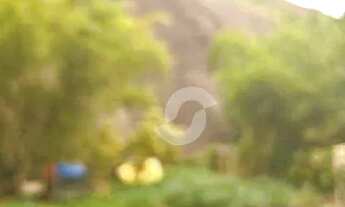 Imagem 6: Terreno à venda, 442 m² por R$ 2.200.000,00 - Itacoatiara - Niterói/RJ