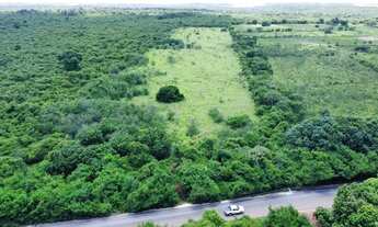 Imagem 6: Terreno a venda na Avenida Nicanor Barreto, Vale Quem Tem. 100,00x500,00!