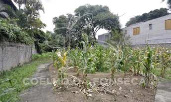 Imagem 5: Terreno Padrao - Boacava/Sao Paulo