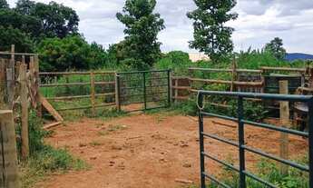 Imagem: Chácara 3 Hectares.Estrada da Produção.Aceita