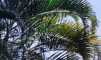 Imagem 2: Kit net / mobília + tv + wifi p/ cavaleiros R$870,00 em sítio Vargem G