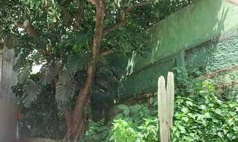 Imagem 2: Casa comercial a venda na Vila Mariana