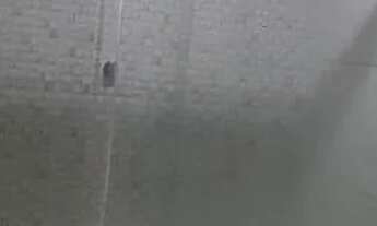 Imagem: Aluga-se Kitnet