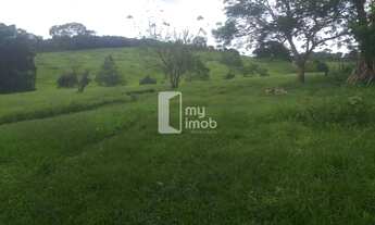 Imagem 6: Fazenda 40 Alqueires em Cocalzinho-GO