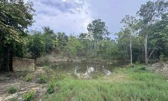 Imagem 6: TERRENO SITIO ESTRADA AM070 - KM 32 Oportunidade unica!