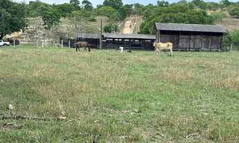 Imagem 5: Fazenda a venda Goias Velho - Goiás!!!