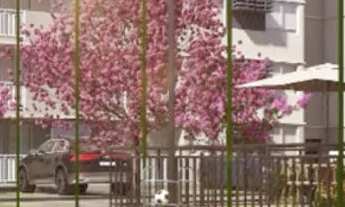 Imagem 5: Apartamento 2 quartos com varanda e lazer completo no coração do Janga!