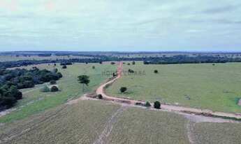 Imagem 2: Fazenda de 357 hectares na região da cidade de Tangará da Serra no estado do mat