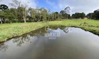 Imagem: Chácara com Bosque e Tanque de peixes 10000