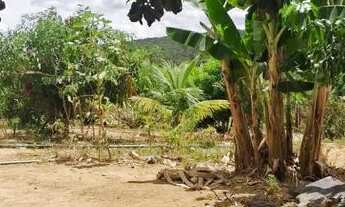 Imagem 7: SÍTIO A 30KM DE JURAMENTO