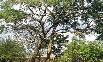 Imagem: Recreio Internacional