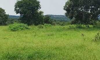 Imagem 7: Chácara em Pontalina