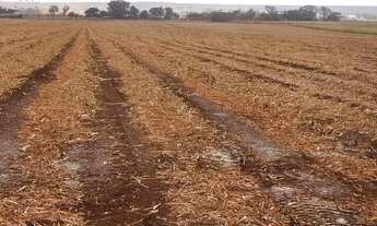 Imagem: Sitio em Ipuã s.p 24 alqueires 13.200.000.00