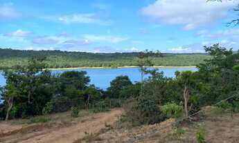 Imagem 5: Lote três marias