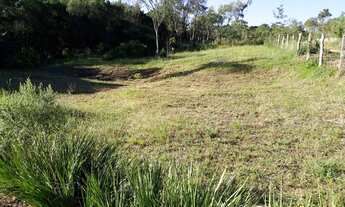 Imagem 4: Chácara na roseira de campo largo sjp