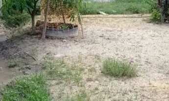 Imagem 5: VENDO TERRENO 50 MIL