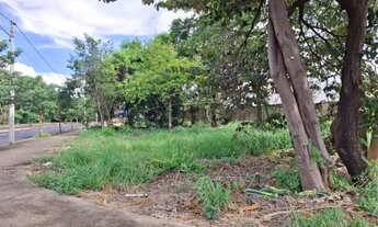 Imagem 3: Terreno de 258m² para locação - Jardim Califórnia